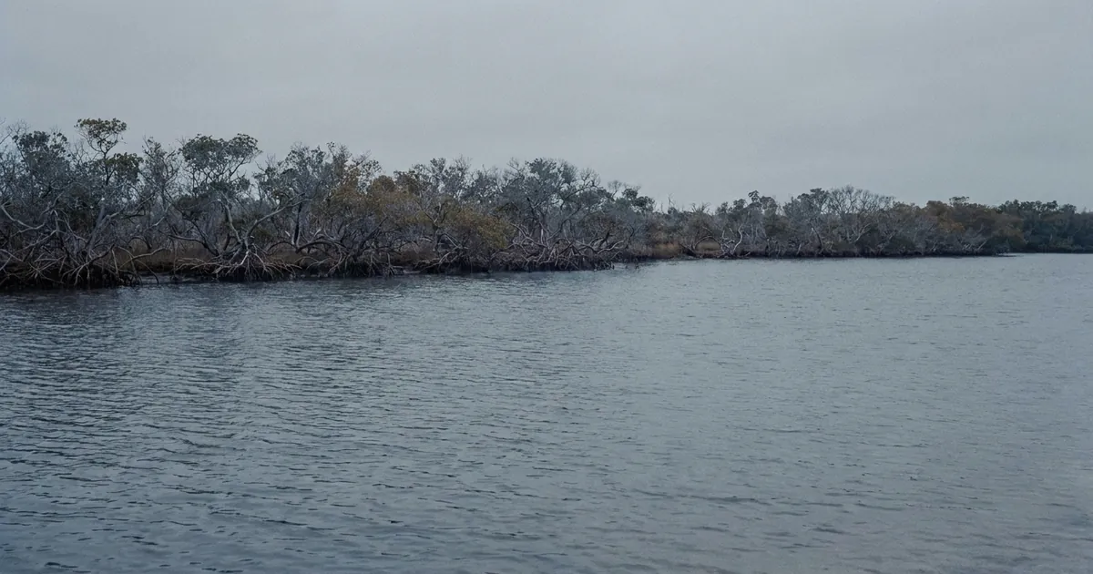 A calm South Florida waterway under flat overcast light
